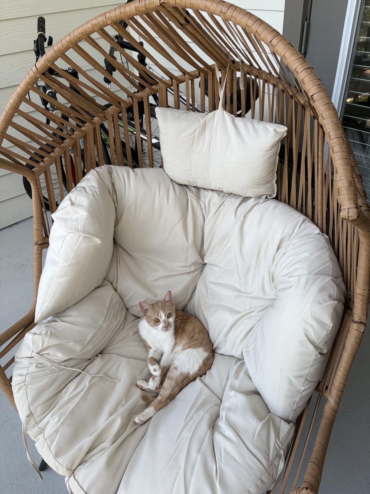 Vongrasig Outdoor Wicker Egg Chair PE Rattan Chair with Cushion, Oversized Patio Lounge Chair for Outdoor, Indoor, Balcony, Backyard, Garden, Beige customer photo 1