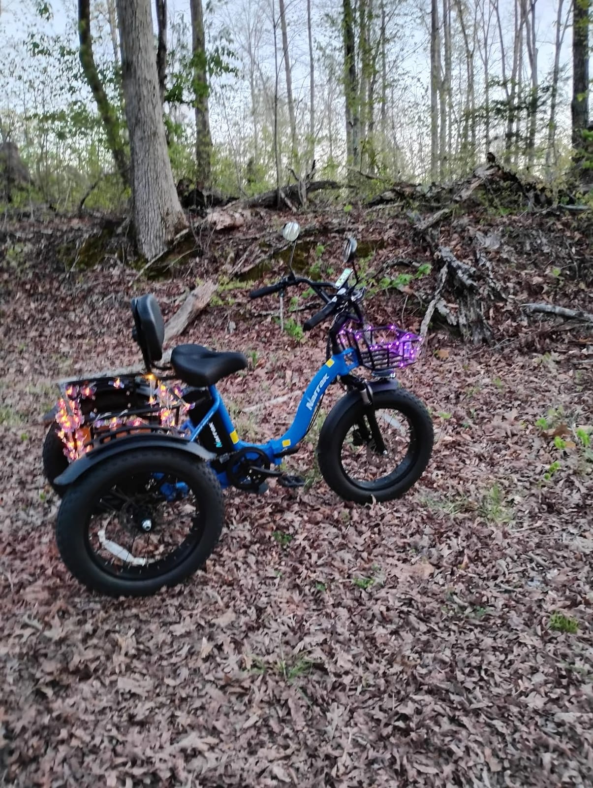 NARRAK Electric Tricycle for Adults,Fat Tire Folding Electric Trike,3 Wheels Electric Bicycle Bikes, Peak 1350W Step-Thru Etrike with Removable Battery and Large Basket customer photo 1