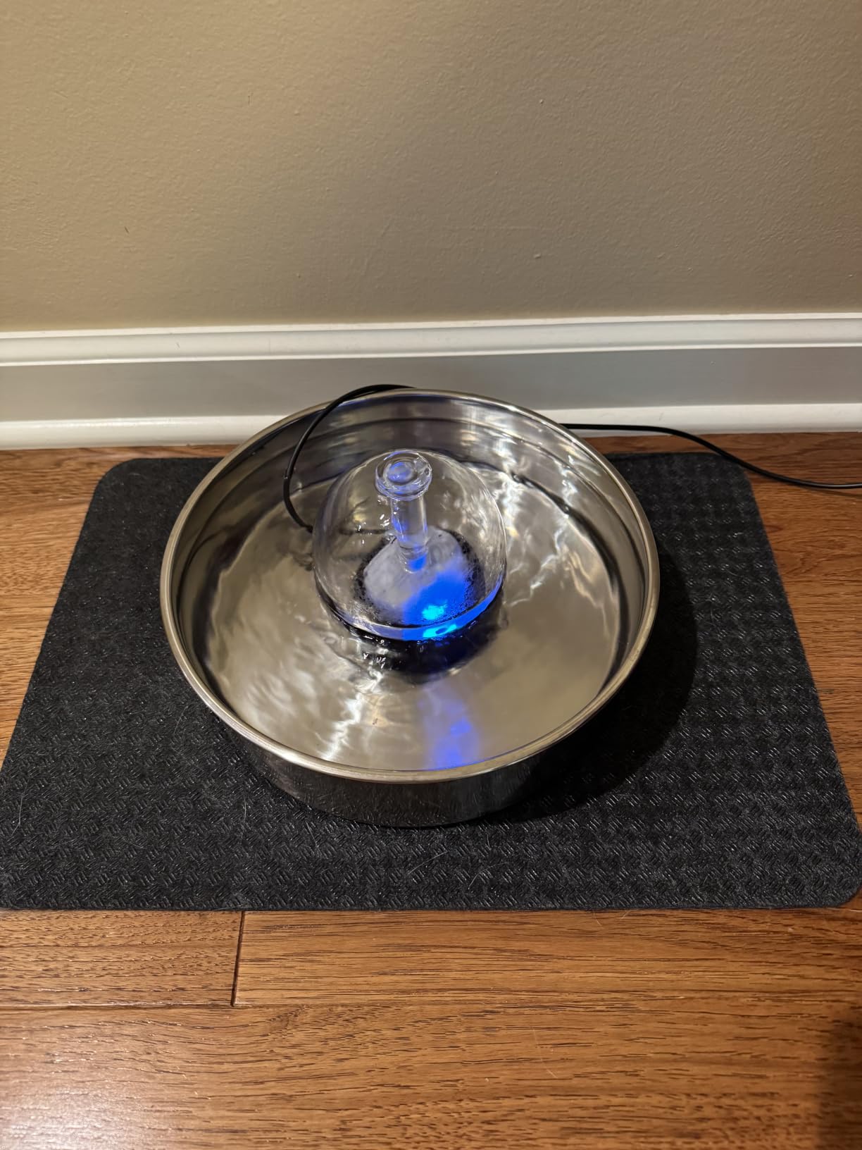 Brook Glass Cat Water Fountain 90oz - Dishwasher Safe Pet & Dog Fountain | Automatic 2.7L drinking water dispenser - quiet, easy to clean glass bowl, filters included - for indoor cats, kittens & dogs customer photo 2