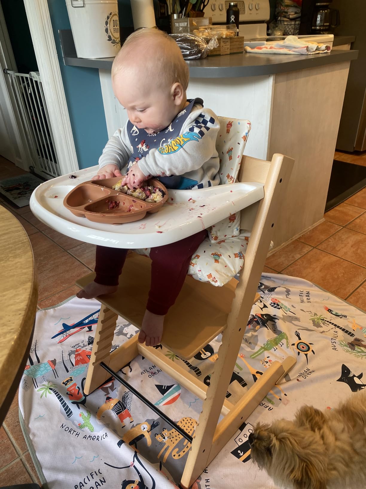 Stokke Tripp Trapp High Chair + Baby Set + Harness, Natural | Includes Chair, Baby Set, Removable Harness for Children 6-36 Months, Adjustable, Ergonomic & Easy to Clean customer photo 2
