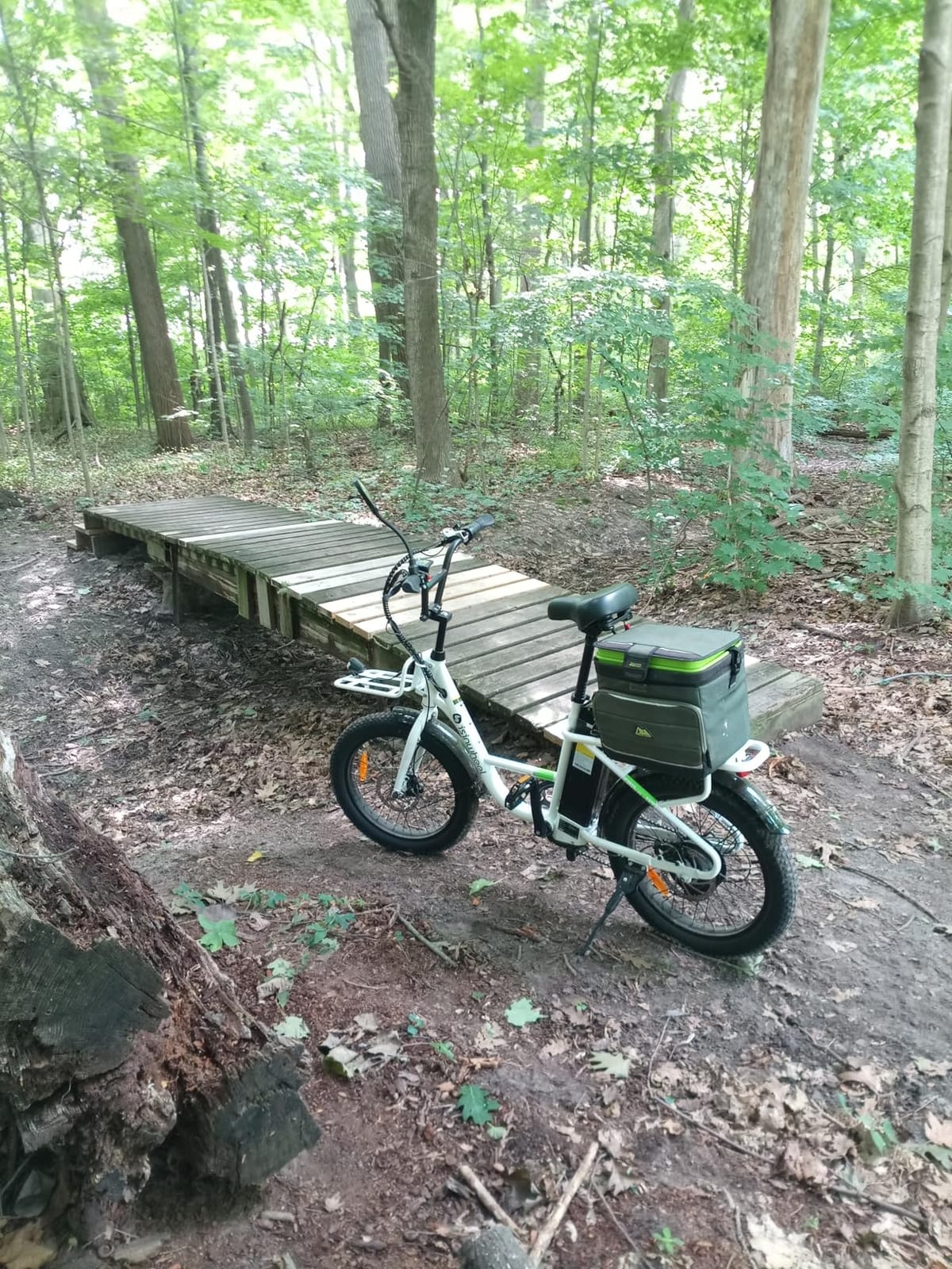 isinwheel U7S Electric Bike for Adult,Peak 1500W Motor 48V 20Ah Battery Up to 20+ MPH & 80 Miles Step-Thru Cargo Ebike,7-Speed All Terrain Fat Tire Front Suspension E-Bike customer photo 1