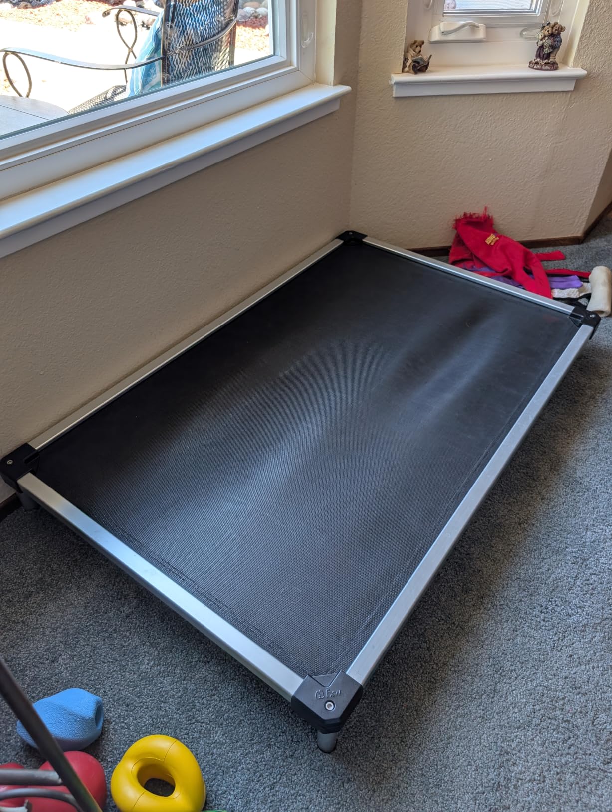 FXW TitanNest Cooling Chew-Proof Elevated Dog Bed for Extra Large Dogs | Easy to Clean, Pre-assembly Raised Cot, Indoor/Outdoor/Camping, 56 x 31 x 7.3in customer photo 2