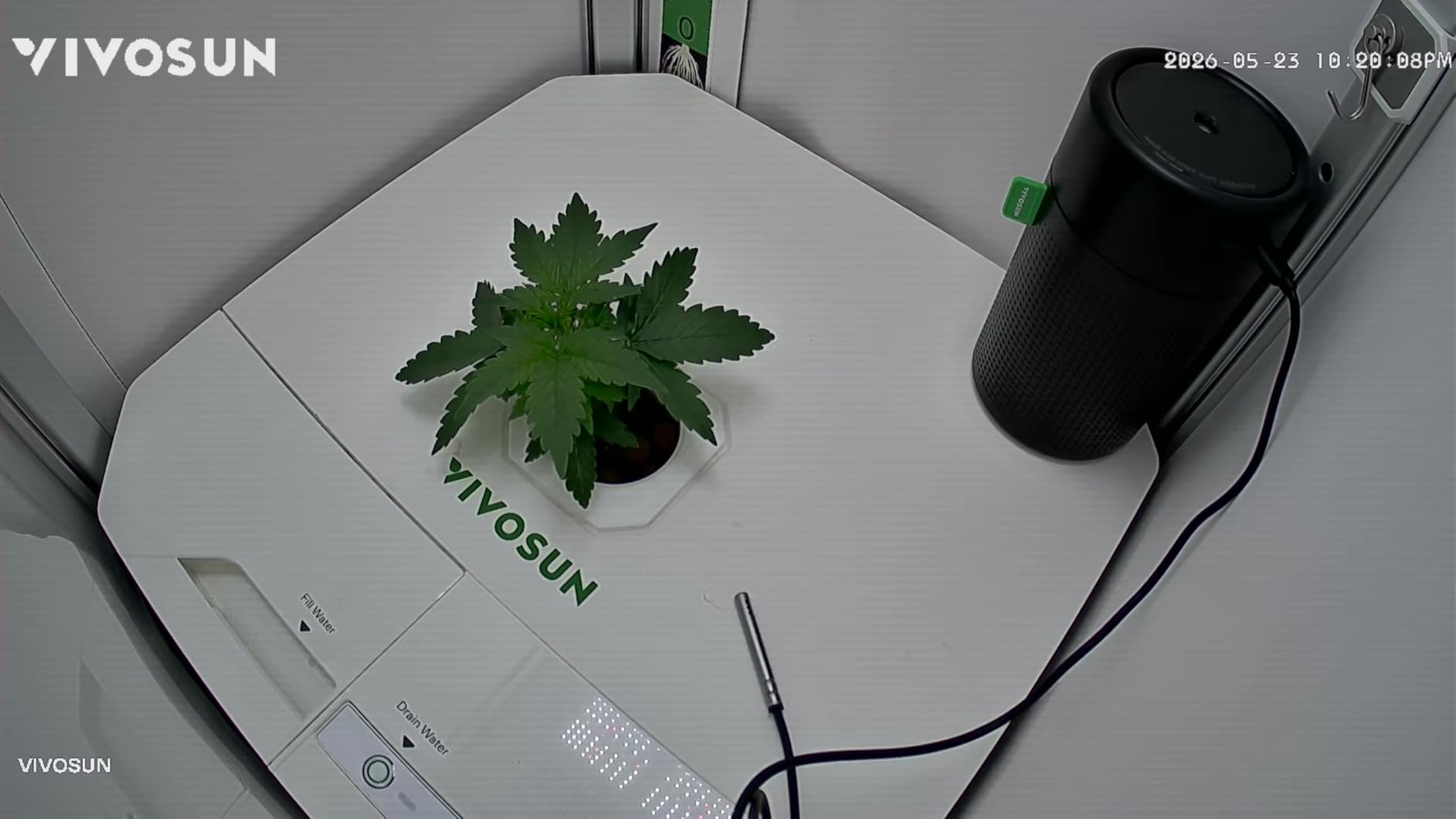 VIVOSUN GrowCam C4, 2K QHD WiFi Smart Camera for Grow Tent & Smart Grow Box | Supports 2.4GHz WiFi, Timelapse, Night Vision, 2-Way Audio, App Control customer photo 1