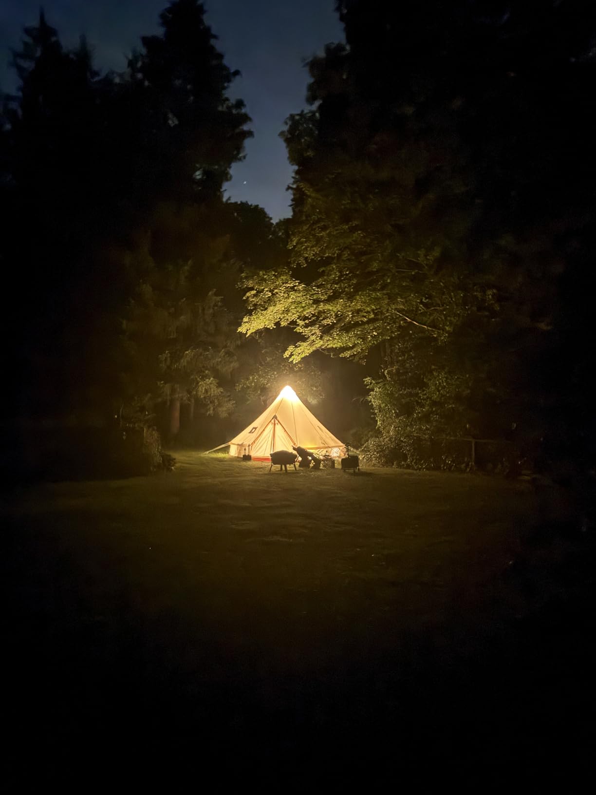 MC TOMOUNT Canvas Tent Bell Tent Yurt, 4 Season Luxury Tents for Camping | 6/8/10/12 Person Glamping Tent with Stove Jack, Zipped Removable Floor, for Truck Car Camping customer photo 2