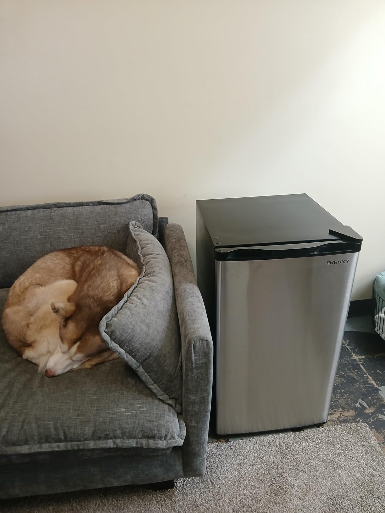 EUHOMY 3.2 Cu.Ft Mini Fridge with Freezer, Compact Refrigerator for Dorm | LED Light, 32°F to 50°F, Compressor Cooling, 38 dB, Adjustable Shelves, Reversible Door, Bedroom Use, Dorm Use customer photo 1