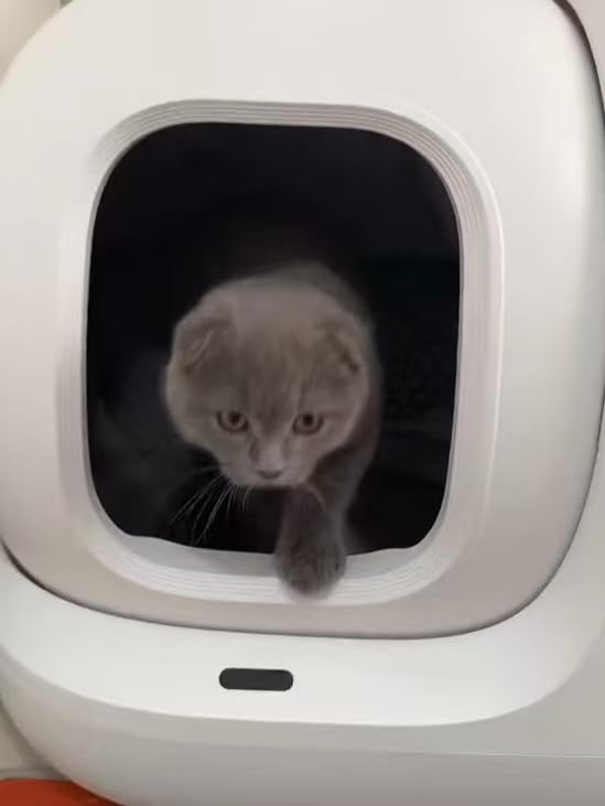 PETKIT PuraMax 2 Odor Free Automatic Cat Litter Box with 2-Year Coverage, Anti-Leakage, Low Entrance for Multi-Cat Homes, App Control, Always-Open & Anti-Pinch Design, Safety Sensors customer photo 1