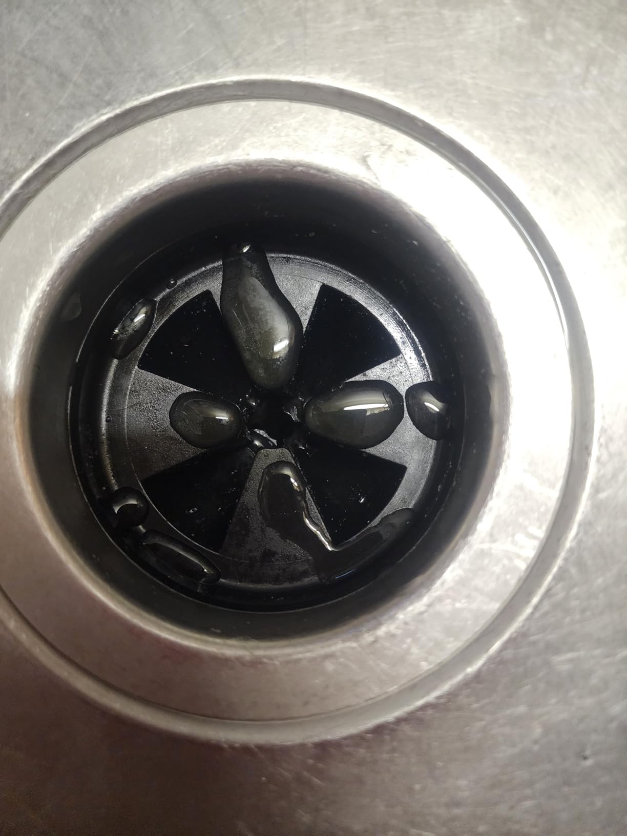 DC 3/4 HP Garbage Disposal Quiet 60dB with Power Cord, Continuous Feed | Food Waste Disposer with Dishwasher Hookup, 6-Stage Grinding, 3-Bolt, 120V 60Hz, 2700RPM, Titanium Stainless Steel customer photo 2
