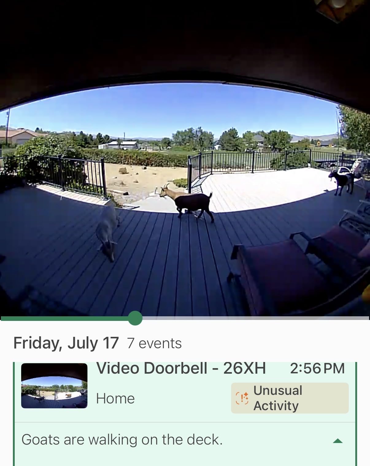 Blink Video Doorbell - Head-to-toe HD view, two-year battery life, and simple setup. Sync Module Core included - System (Black) customer photo 1