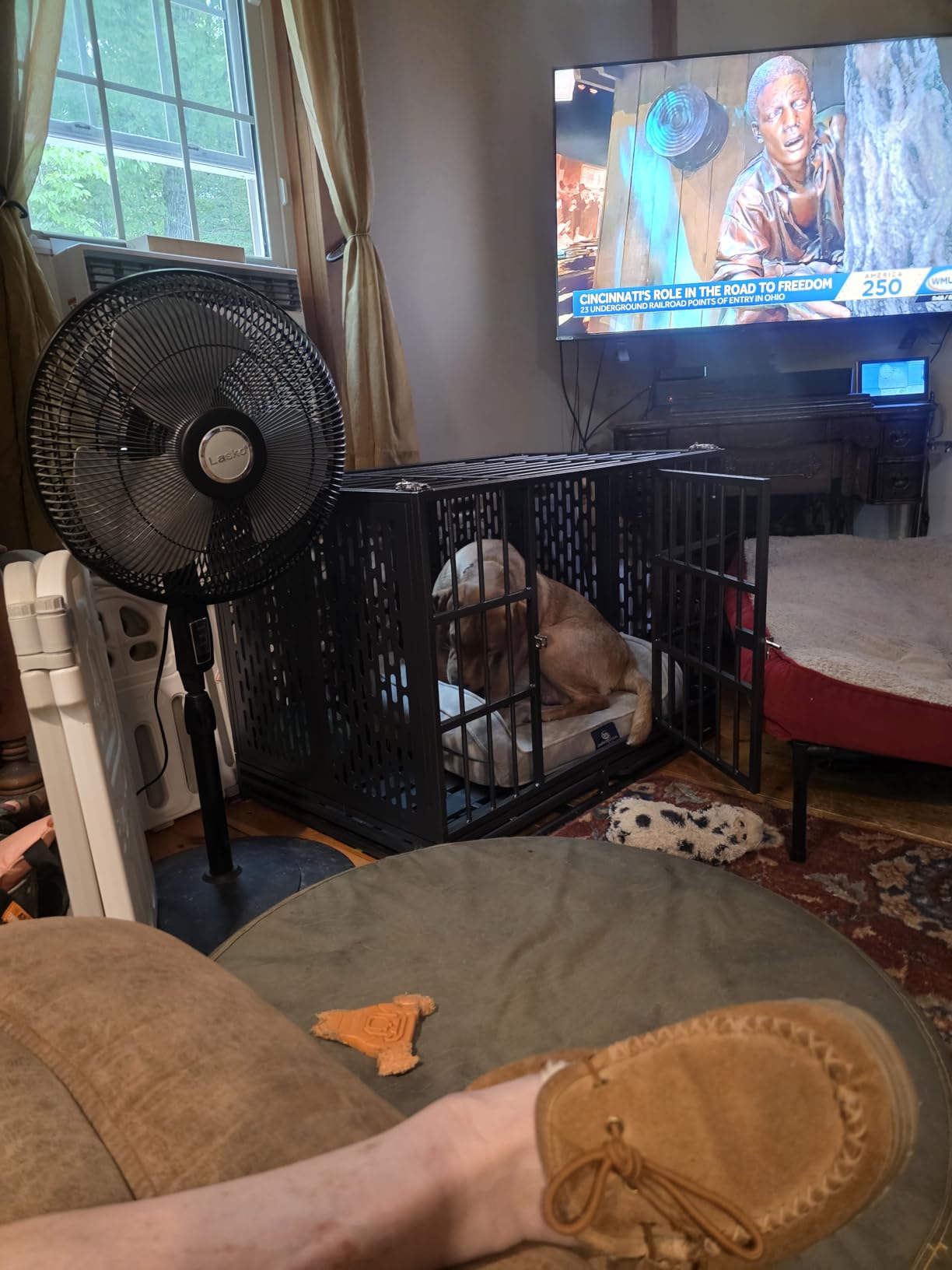 Snuowu 38 Inch Heavy Duty Dog Crate with Wheels, Folding Metal Big Dog Cage for Large and Medium Dogs, Extra Large XL XXL Indestructible Dog Crate with Removable Tray customer photo 1