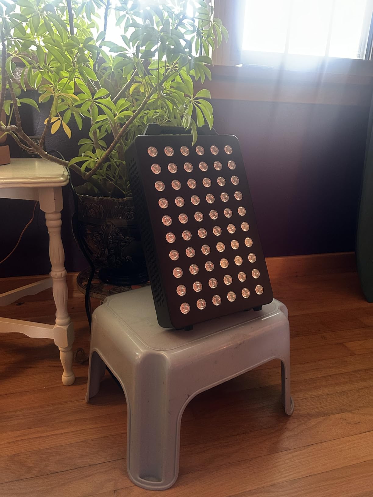 BONTANNY Red Light Therapy, 630/660/810/830/850nm 5 Wavelengths Red Near Infrared Light Device with 60 Dual Chip Clinical Grade LEDs, Remote Control, Timer for Face, Body, Pain Relief, BO-300 customer photo 1