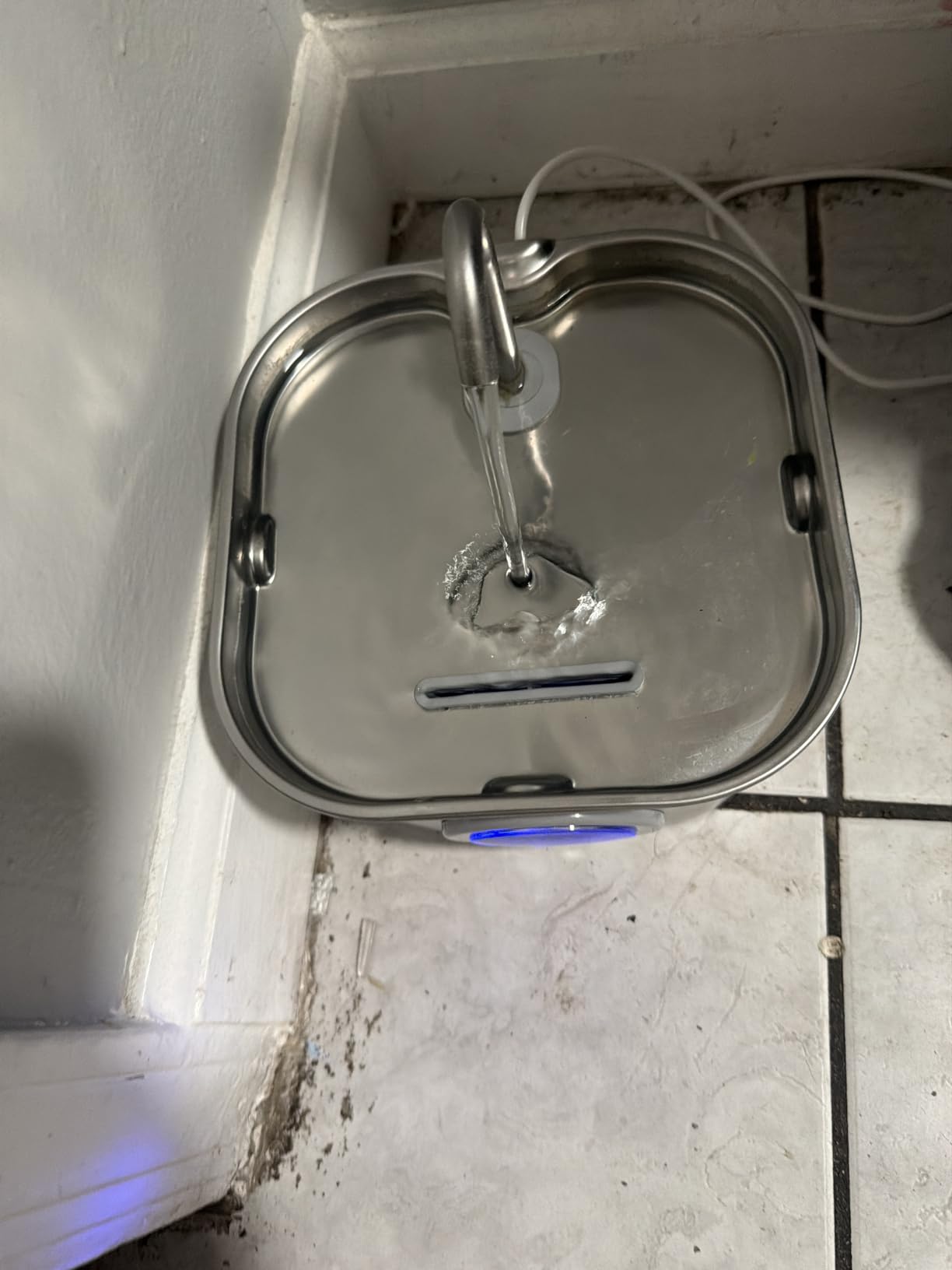 Cat Water Fountain Stainless Steel: Pet Fountains for Cats/Dog Indoor Automatic Waterer Bowls for Drinking Small Animal Water Dispenser Metal Pets Watering Faucet Bottle Auto Kitty Watering customer photo 1