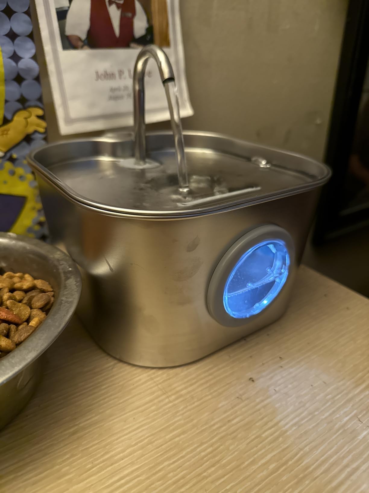 Cat Water Fountain Stainless Steel: Pet Fountains for Cats/Dog Indoor Automatic Waterer Bowls for Drinking Small Animal Water Dispenser Metal Pets Watering Faucet Bottle Auto Kitty Watering customer photo 2