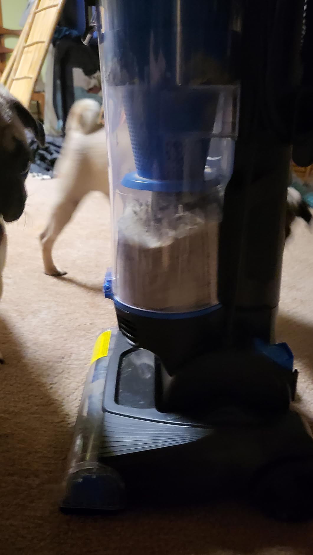 Vacmaster Commercial Grade Vacuum Cleaner 14L Capacity Ultra-Lightweight | Bagged Upright Vac with LED Headlight and 2-Speed Setting Powerful Suction for Pets, Carpets & Hard Floor, UB0402 customer photo 1