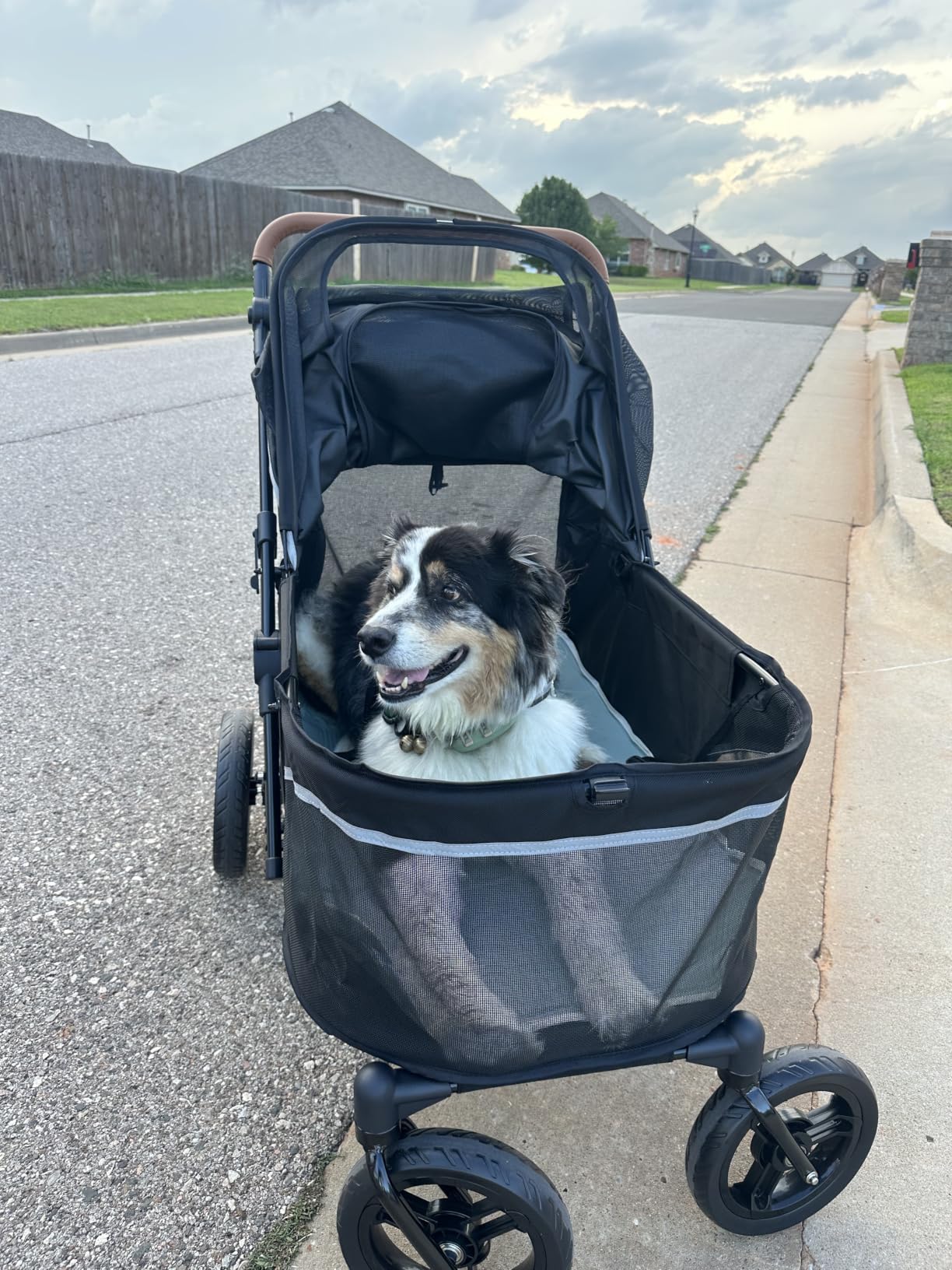 Zoosky Pet Stroller for Large Dogs up to 110lbs, Large Pet Stroller | Multiple Pets(31