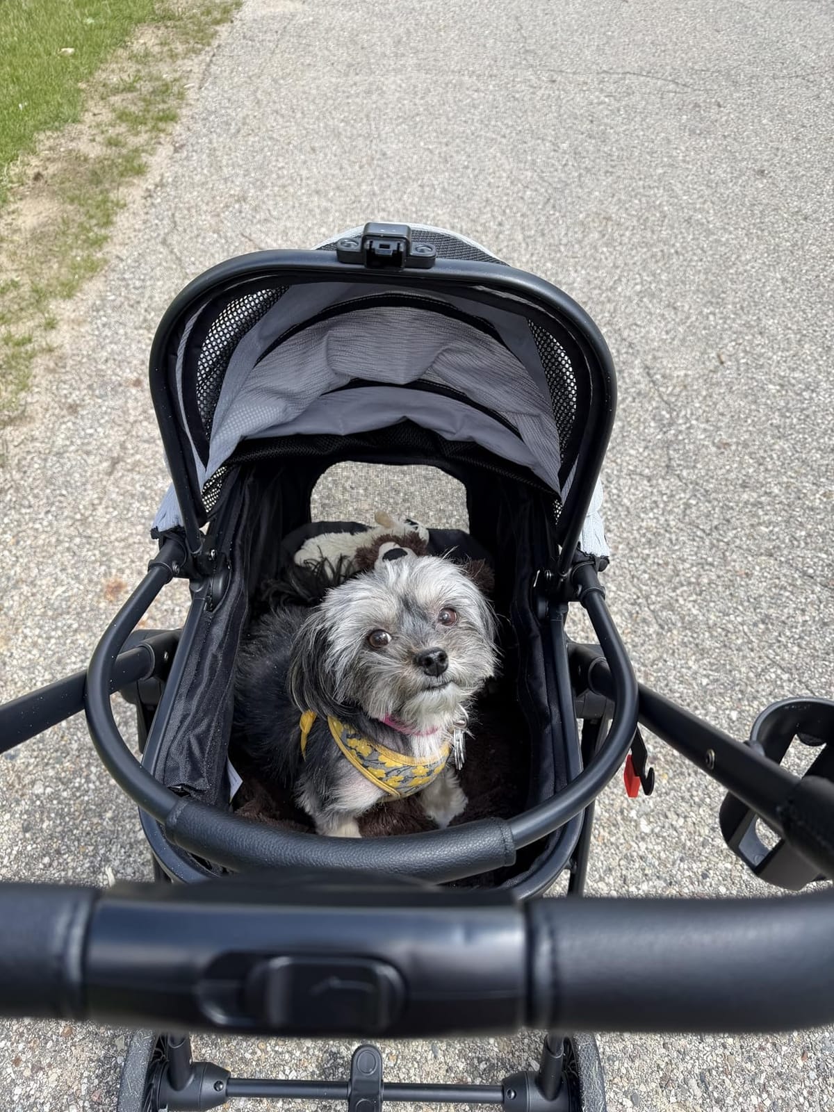 Pet Stroller for Small Dogs and Cats, One-Click Foldable Dog Stroller with Detachable Carrier & 3 Safety Tethers, Holds up to 33 lbs, Storage Basket & Cup Holder, Breathable Mesh, Black customer photo 1