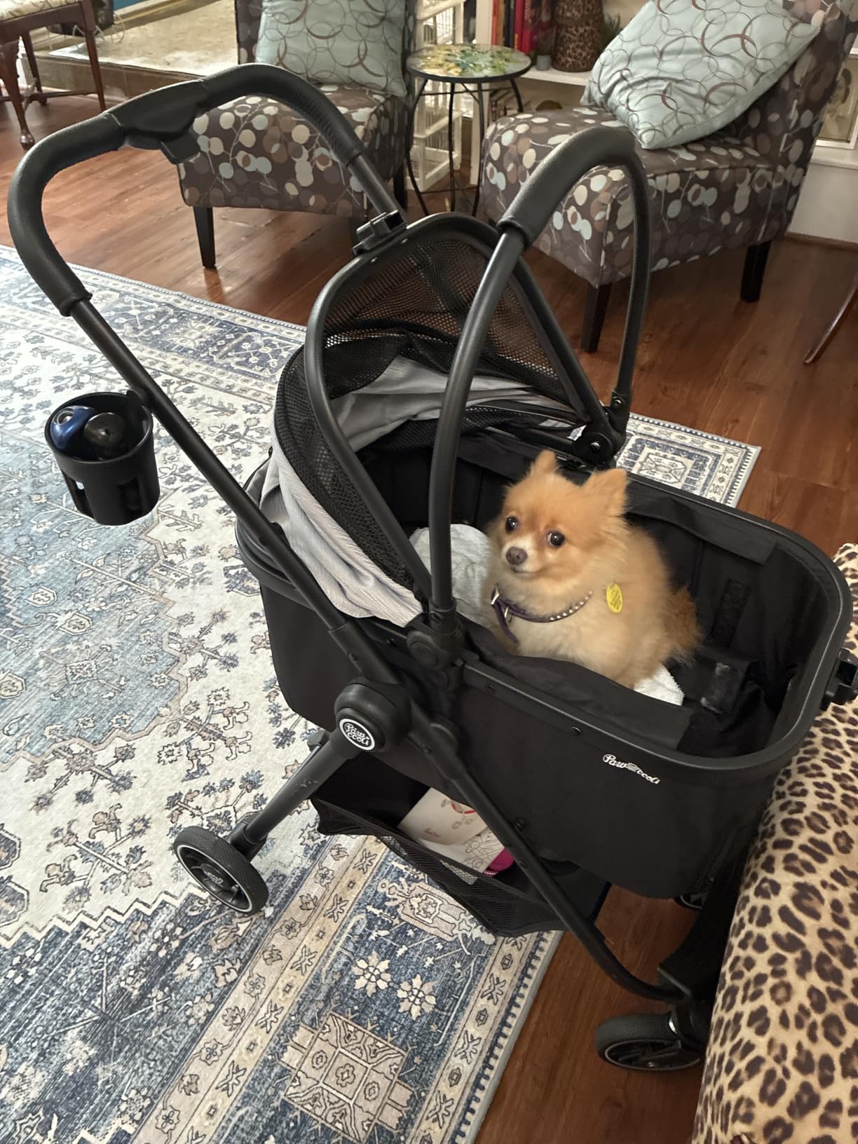 Pet Stroller for Small Dogs and Cats, One-Click Foldable Dog Stroller with Detachable Carrier & 3 Safety Tethers, Holds up to 33 lbs, Storage Basket & Cup Holder, Breathable Mesh, Black customer photo 2