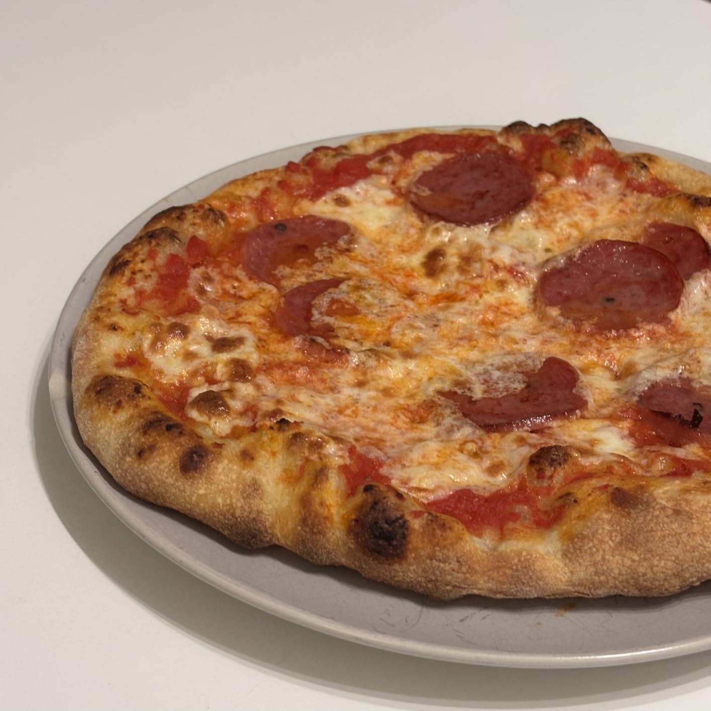 BIG HORN 14-Inch Indoor Pizza Oven, 850F High-Heat Electric Countertop Pizza Oven for Restaurant-Style Artisan Pizza with Pizza Stone and Pizza Peel, PID Precision Temperature Control customer photo 1