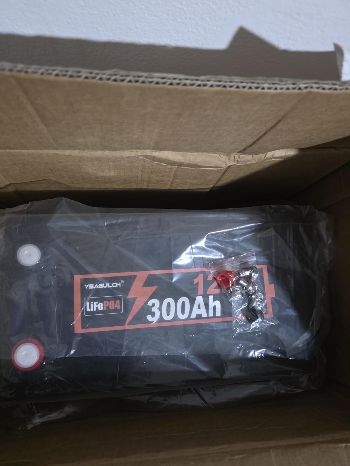 yeagulch 12V 100Ah LiFePO4 Lithium Battery BCI Group 31 with 100A BMS 1.28kWh | 15000+ Deep Cycle Rechargeable Lithium Iron Phosphate Battery customer photo 1