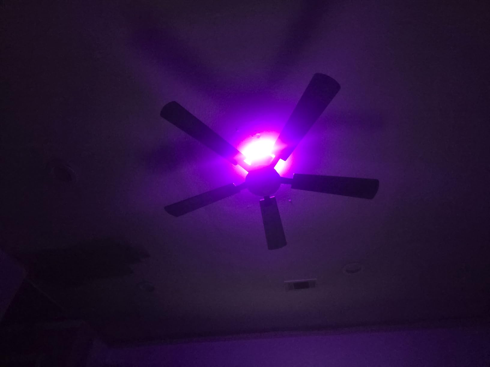 ZMISHIBO 52 Inch Smart Ceiling Fan with RGB Light, Alexa/App/Remote Control | 3000-6000K Dimmable LED, Google Control, WiFi, Low Profile Flush Mount, Reversible Motor, Modern Black for Bedroom/Game Room customer photo 1
