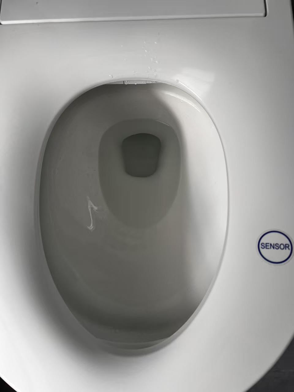 Casta Diva Smart Toilet With Bidet Built In Auto Open Close Lid CD-K030PRO, 1000g MaP Flush, Heated Comfort Seat & Foam Dispenser, Foot Sensor, Bidet Toilet with Tank, Quiet Flush, Warm Water, Dryer customer photo 1
