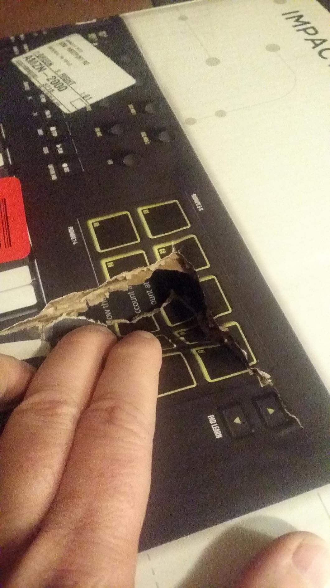 Impact LX mk3 customer photo 2