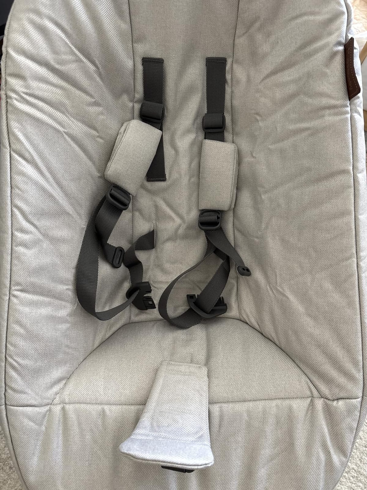UPPAbaby Mamaroo Smart Swing with MotionSync & Newborn Insert - Charlie customer photo 2