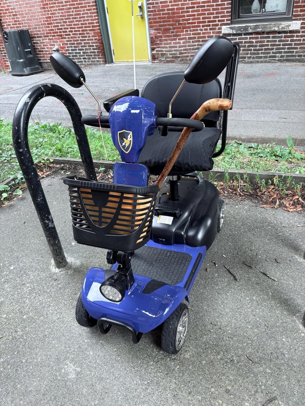 Heavy Duty Mobility Scooter for Adults & Seniors, 500W Motor, 20/30 Miles Long Range, 450 LBS Capacity, Removable Lithium Battery, 10