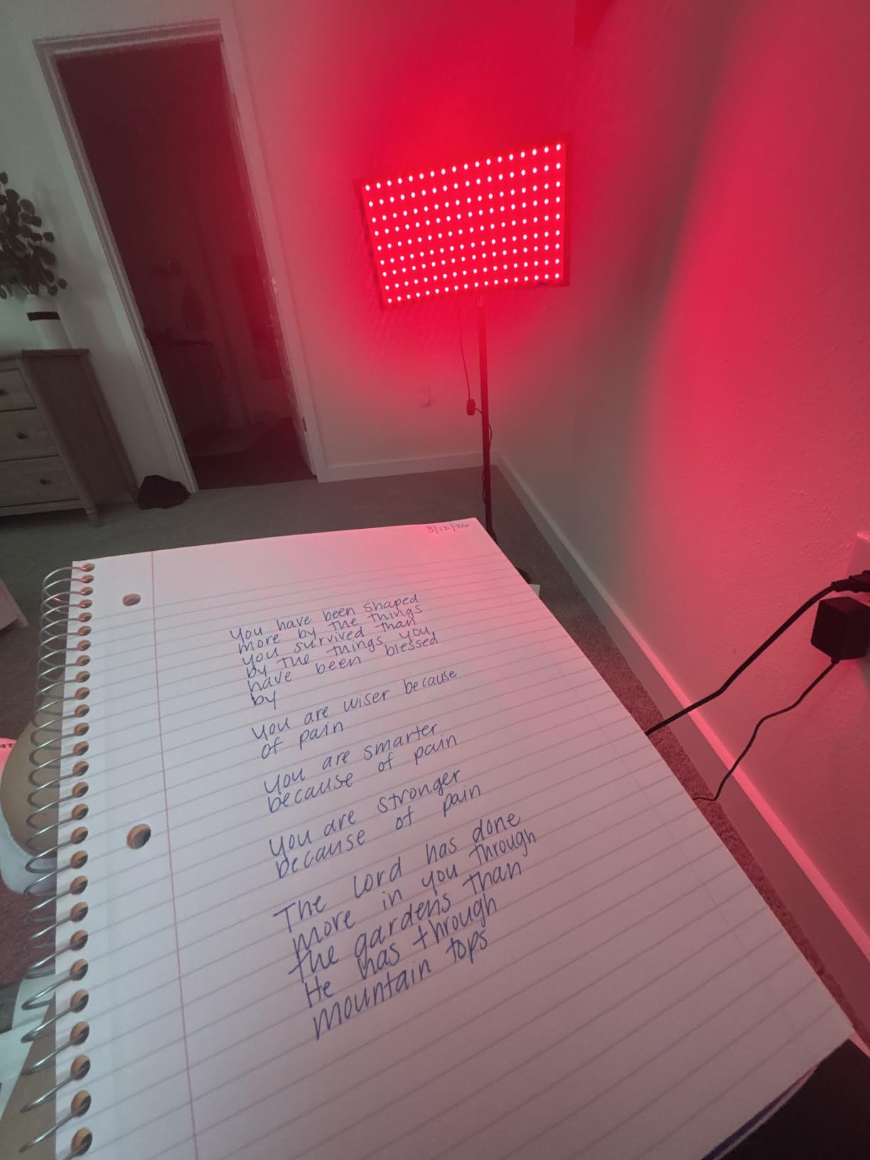 Red Light Therapy for Body Face, Infrared Light Therapy Lamp with Adjustable Stand, 660nm and 850nm Near Infrared LED Lights Panel customer photo 2