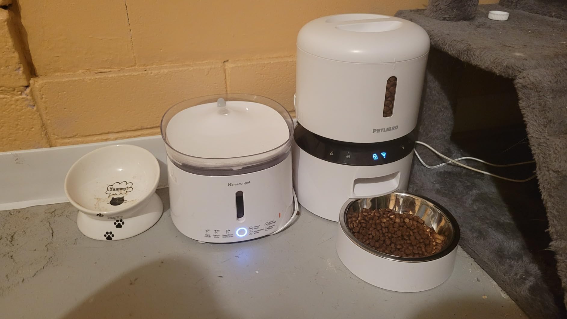 PETLIBRO Automatic Dog Feeder with Camera, Auto Cat Food Dispenser Slow Feeders Dogs Bowl, 1080P HD Video with Night Vision, 5G WiFi with 2-Way Audio, Stainless Steel Slow Food Tray for Small Dogs customer photo 1