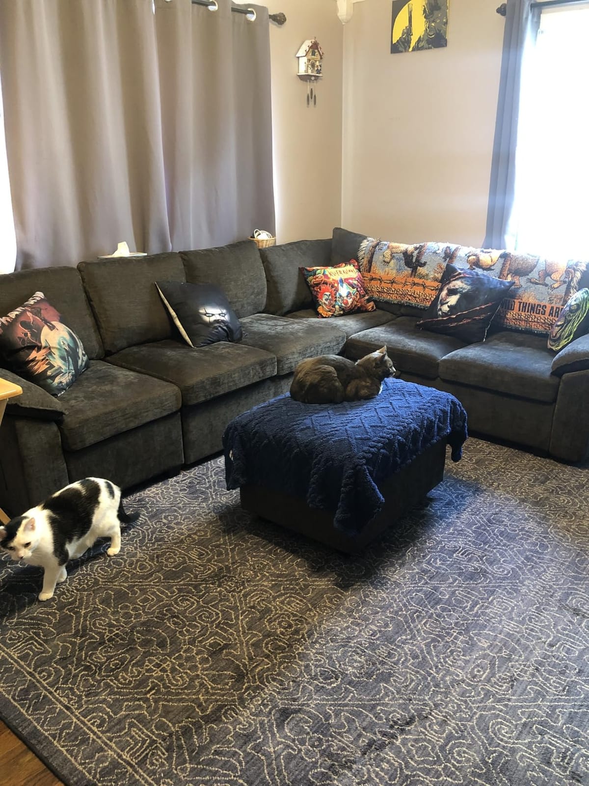 108'' Modular Sectional Sofa with Pull Out Bed, Sleeper Sofa, Dark Gray | U Shaped 7 Seat Sectional Couches for Living Room, Cloud Modular Couch with Storage, Pull Out Couch customer photo 1