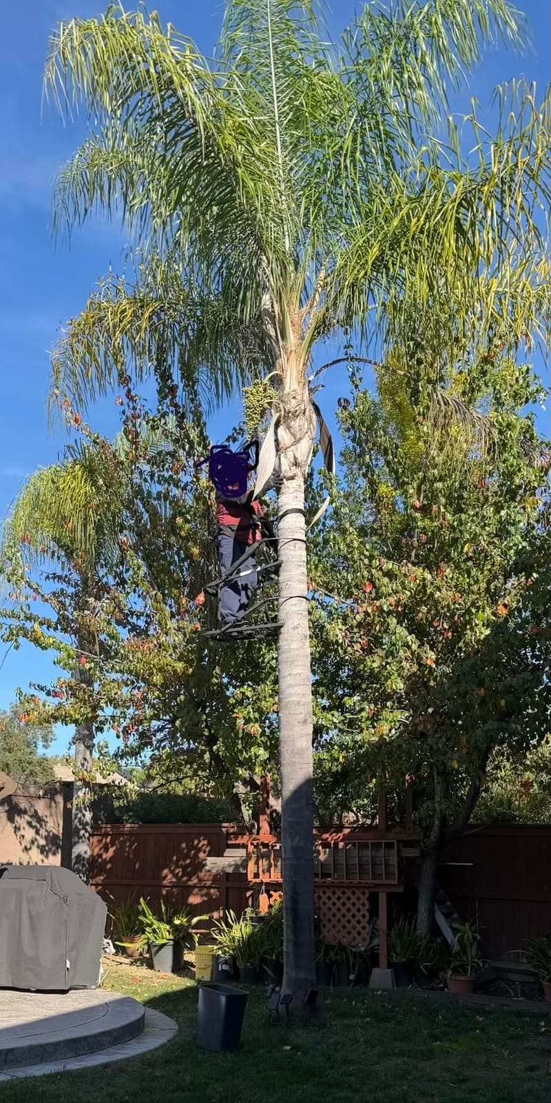 OL'MAN Stealth Mode Steel Climbing Tree Stand customer photo 1