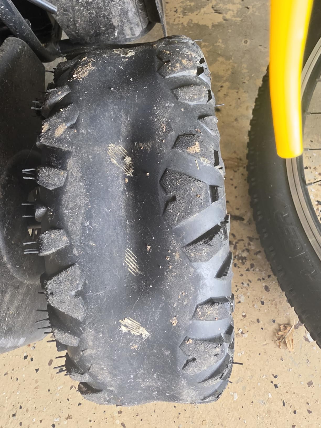 Droyd Animal Kids ATV for Ages 6+, 143 lb Capacity, 36V Electric 4 Wheeler with 500W Brushless Motor, LFP Battery, Dual Speed 10-15 MPH, Dual Suspension Disc Brake Quad Bike with Storage Case customer photo 1