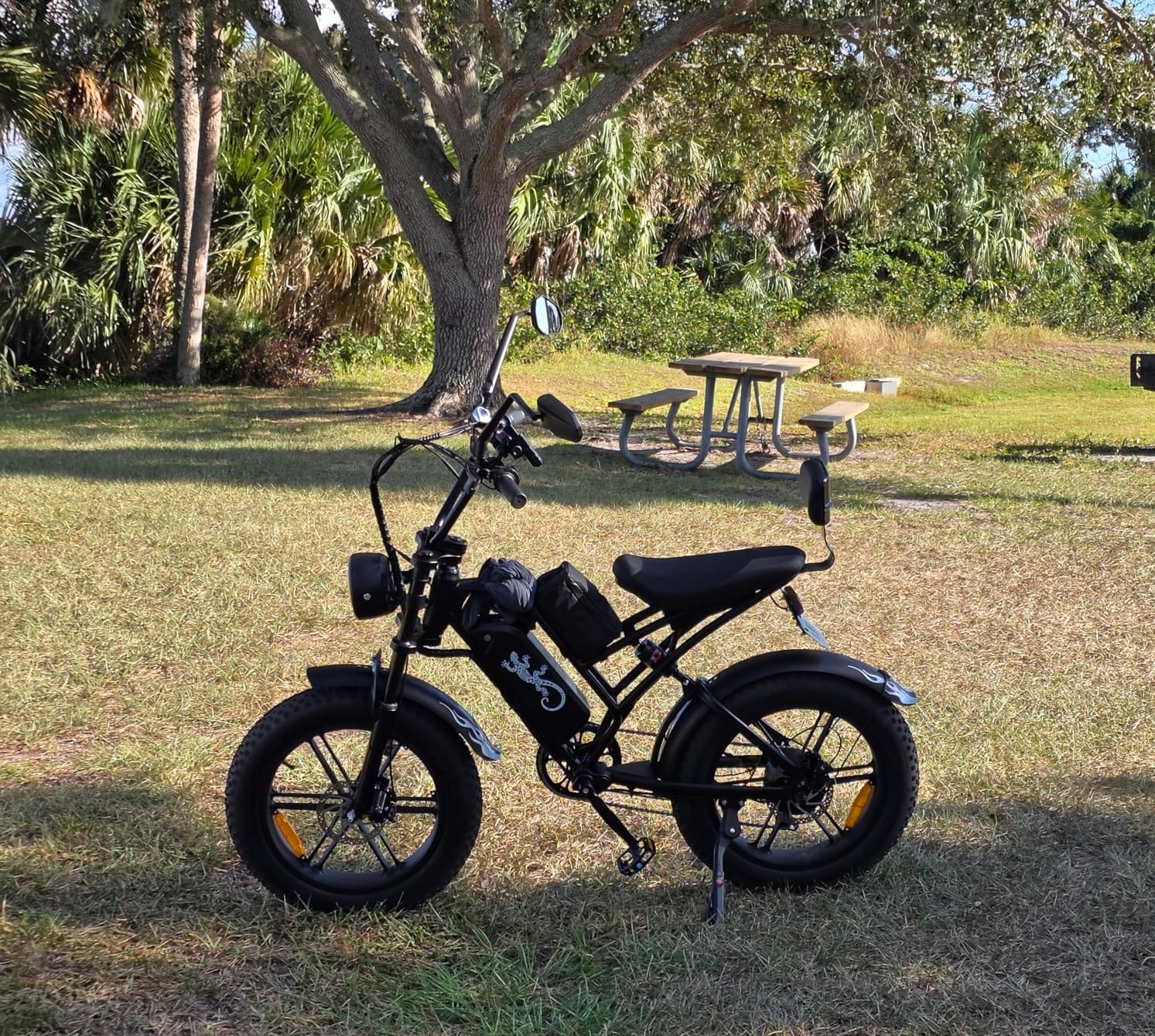 Electric Mountain Bike for Adults, 20 Inch Fat Tire Dirt E Bike with 1500W Peak Motor, 48V 15Ah Removable Battery, 60 Miles PAS Range, All Terrains Electric Bicycles for Off Road and Commuting customer photo 1