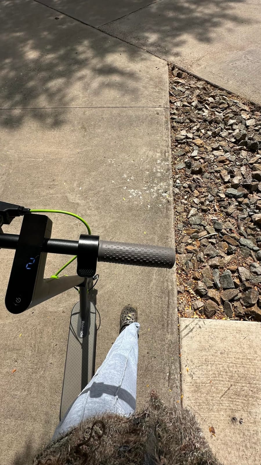 Roinside Electric Scooter - 350W/500W Motor, 8.5