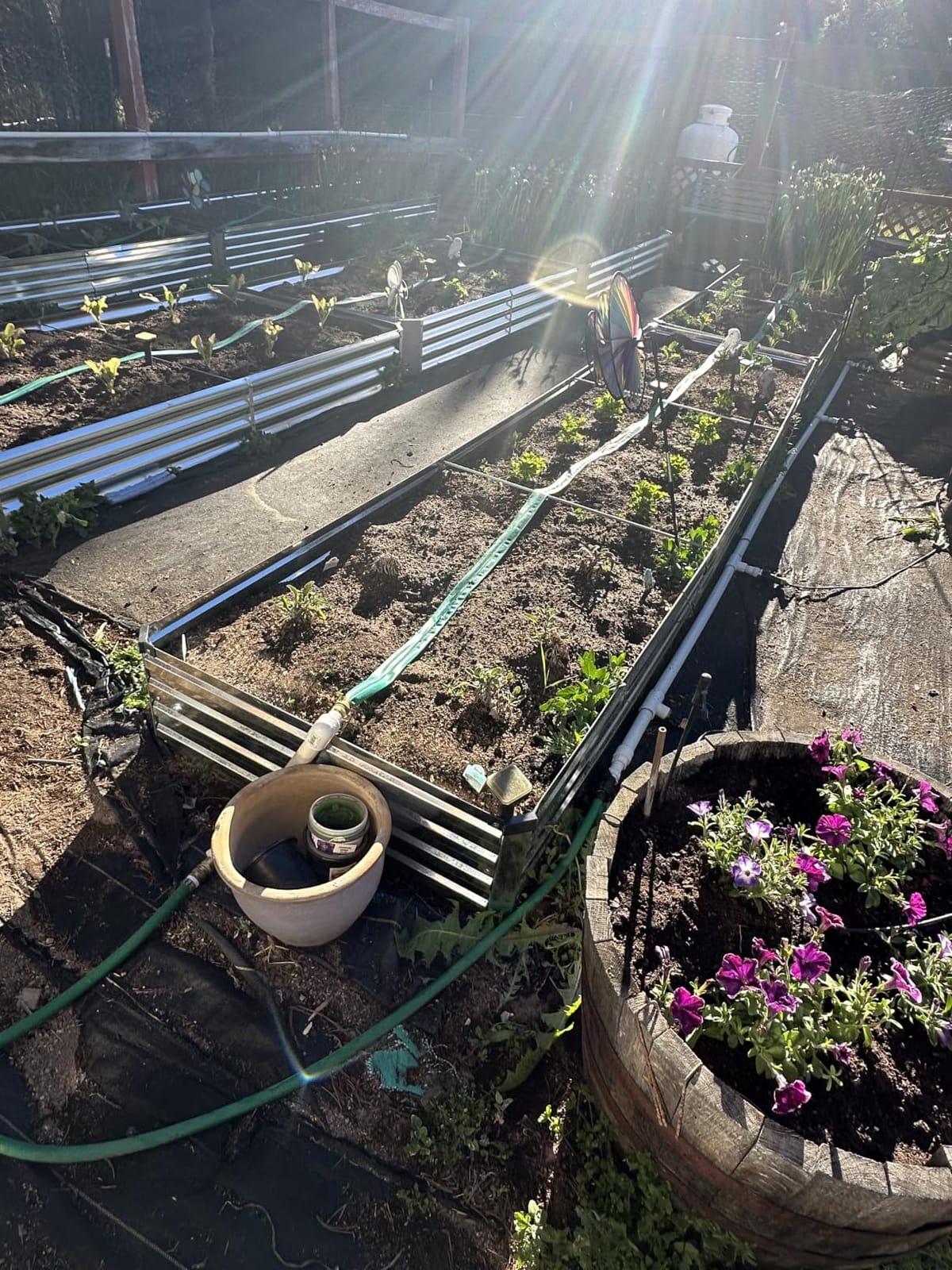 Land Guard 3 Pack 8×4×1ft Galvanized Metal Raised Garden Bed, Metal Planter Kit Box Outdoor for Deep-Rooted Vegetables, Flowers, Green and Herbs, Silver customer photo 1