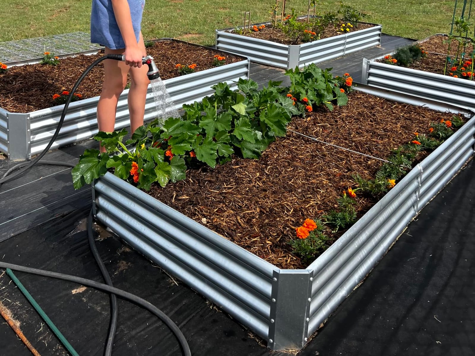 Land Guard 3 Pack 8×4×1ft Galvanized Metal Raised Garden Bed, Metal Planter Kit Box Outdoor for Deep-Rooted Vegetables, Flowers, Green and Herbs, Silver customer photo 2