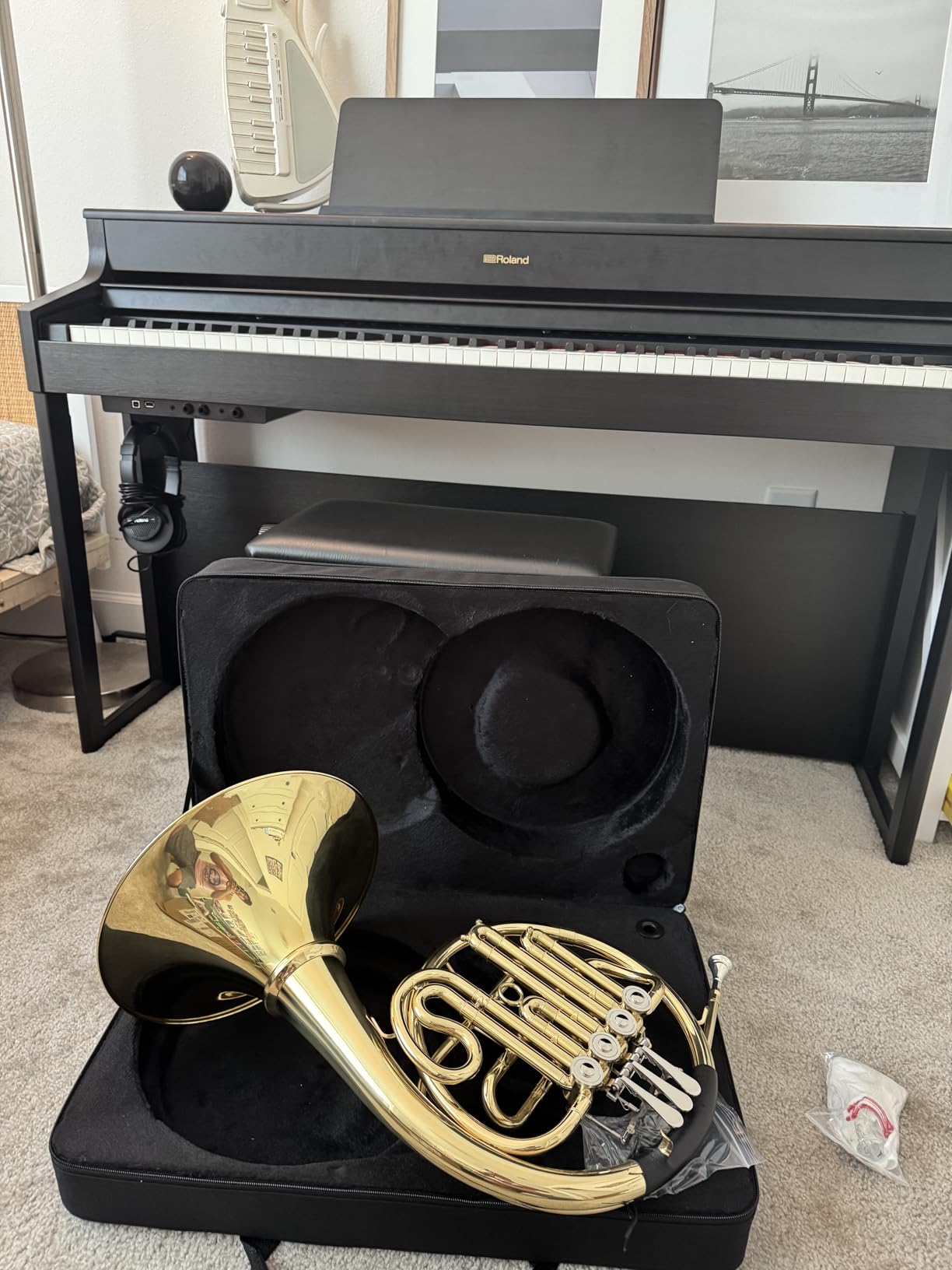 Double French Horn F/Bb 4 Keys, Gold Craft Lacquer Brass Professional French Horn, Complete Accessory Kit for Concert Band and Solo Performance, Silver customer photo 1