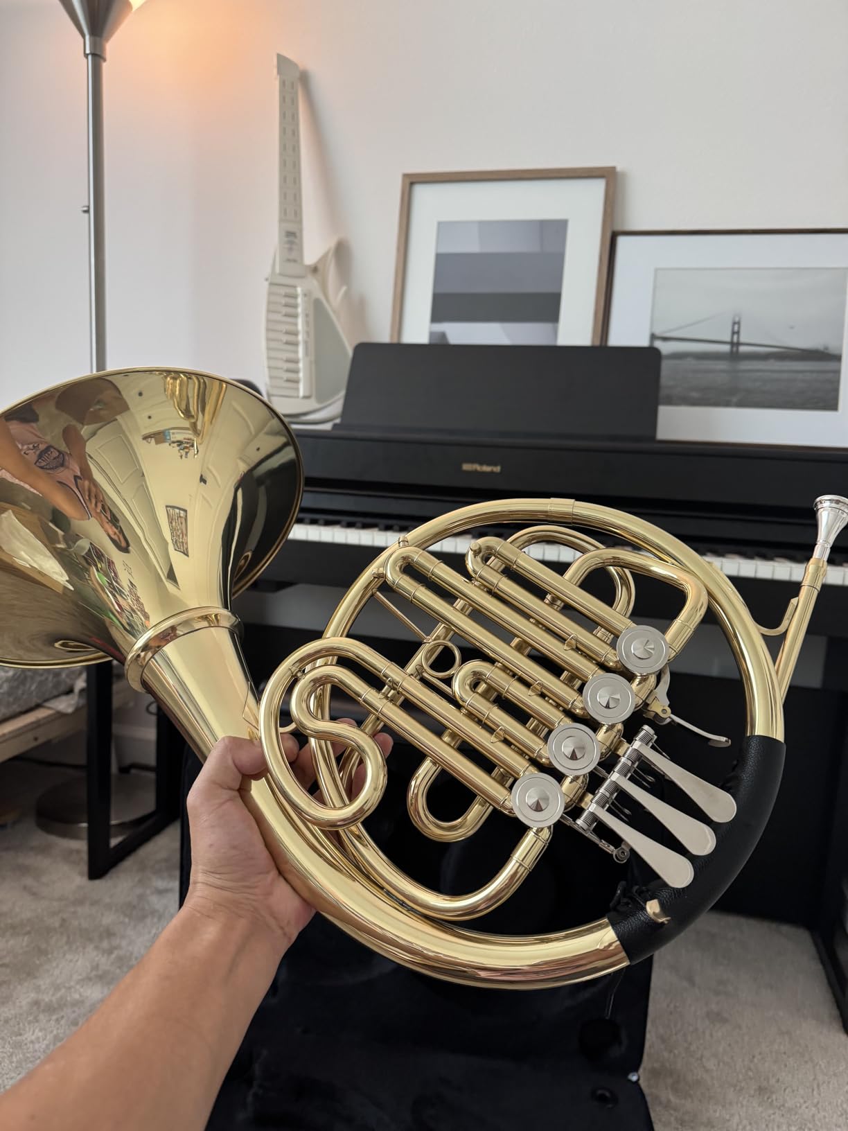 Double French Horn F/Bb 4 Keys, Gold Craft Lacquer Brass Professional French Horn, Complete Accessory Kit for Concert Band and Solo Performance, Silver customer photo 2