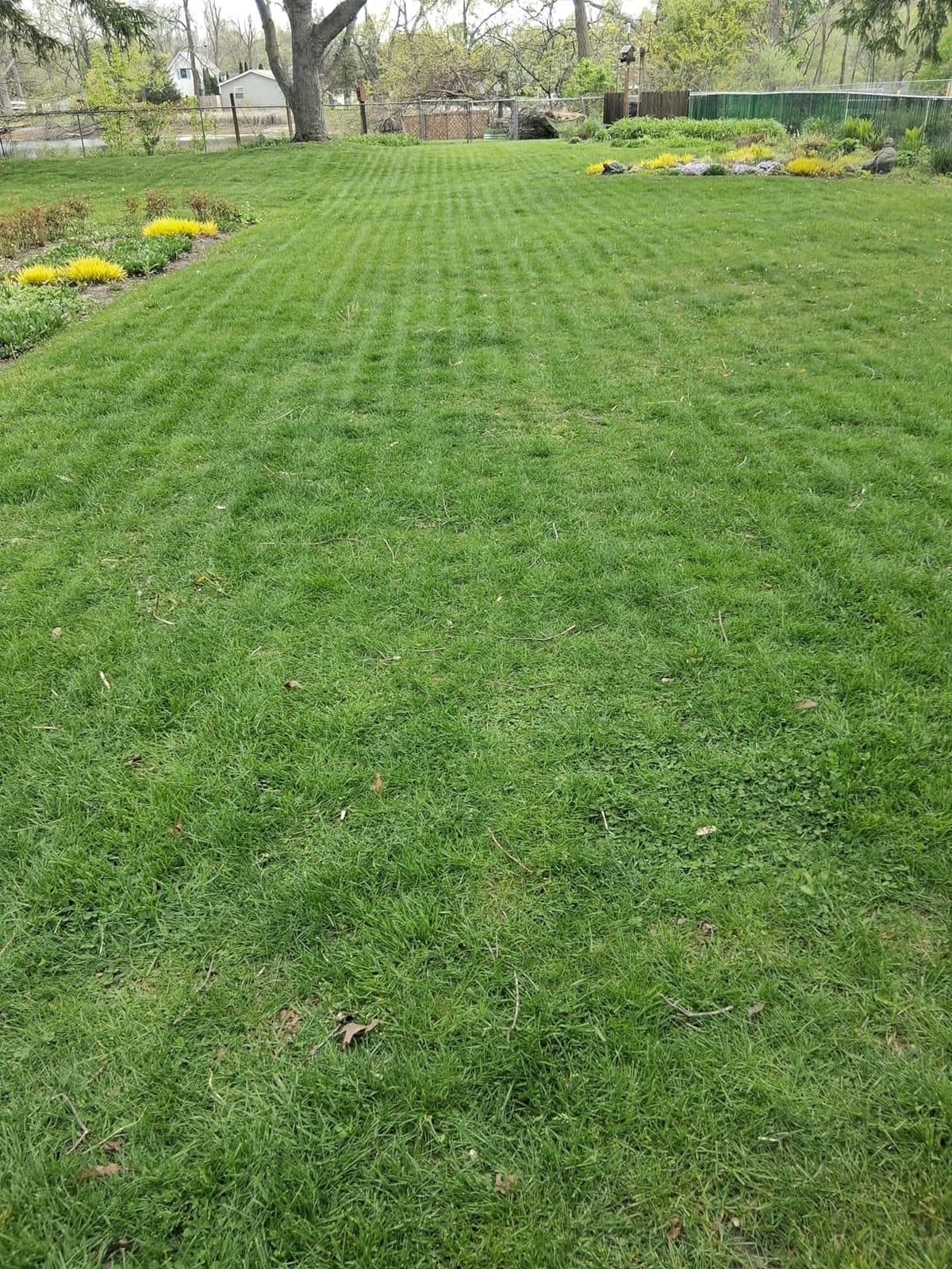Mammotion LUBA mini 2 AWD 1500H Robot Lawn Mower, 0.37 Acre, LiDAR+AI | Wire Free for 0.37 Acre, Dual Cutting Discs, AWD for 80% Slope, DropMow, 20 Multi-Zone Management, Cutting Height 2.2