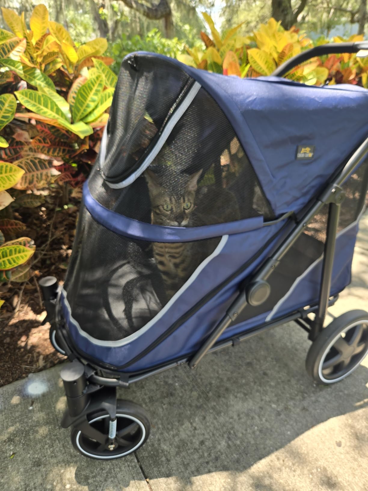 CANINE CANYON All-Terrain Pet Stroller for Large & Medium Dogs | Easy fold, 130 lbs capacity for 2 dogs. Dual entry, 1-foot brake, sunroof & breathable windows for outdoor adventures, Blue customer photo 1