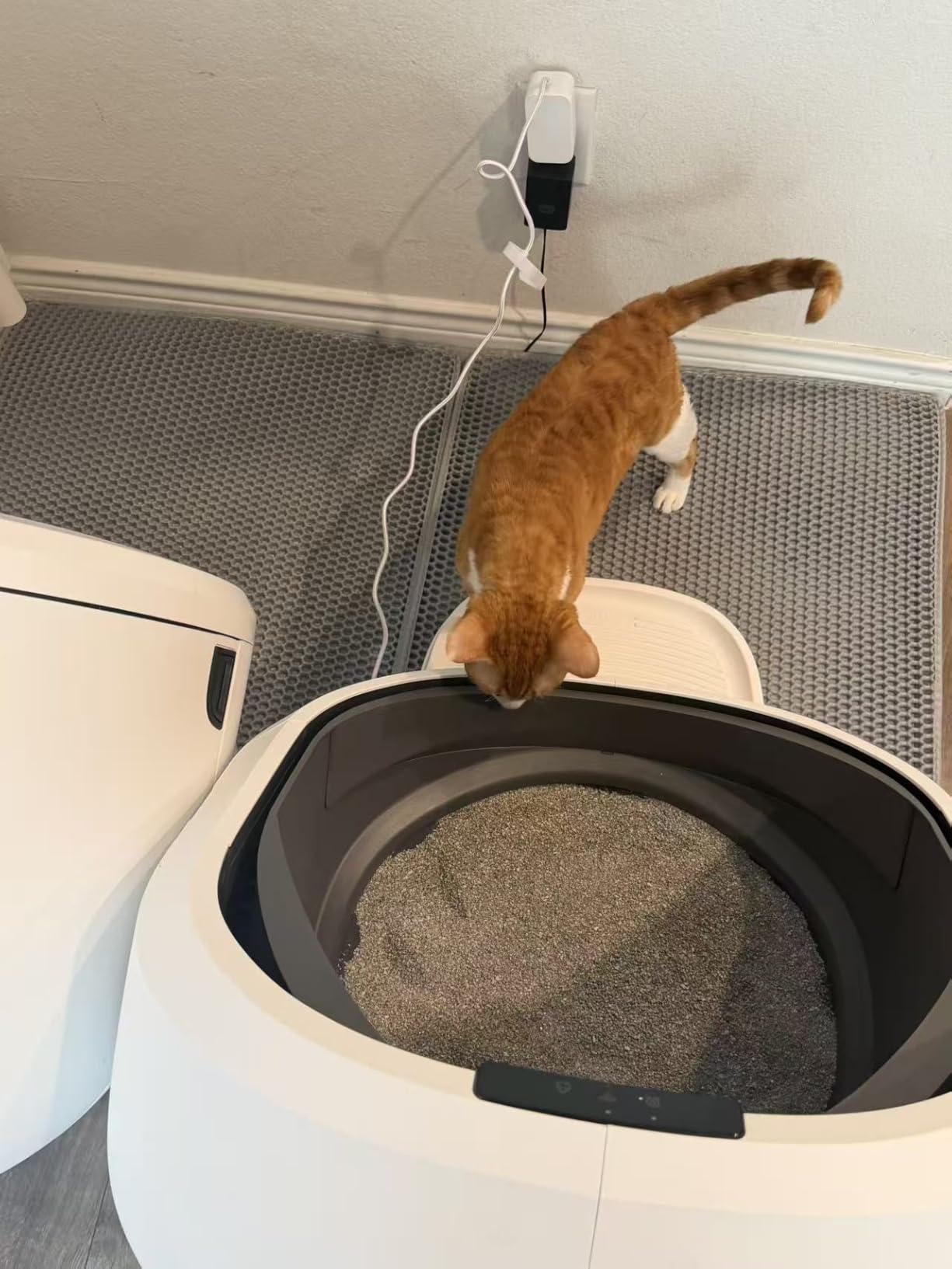 PETLIBRO Automatic Litter Box with AI-Camera Waste Analysis, Auto Odor-Control Self Cleaning Litter Box, Large Open-Top Luma Smart Litterbox with Multi-Cats Recognition, Usage Tracking, Safety Sensors, App customer photo 1