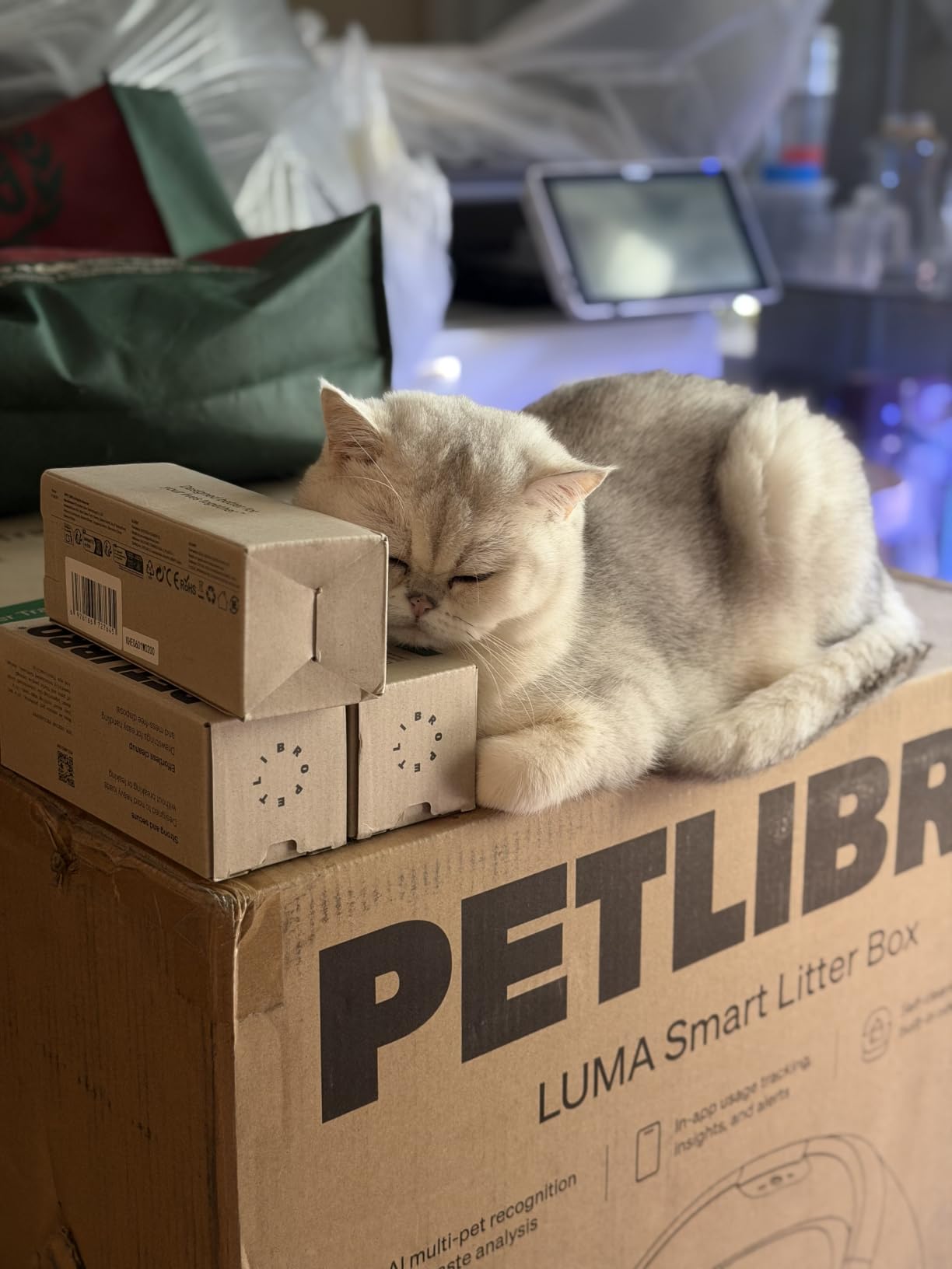 PETLIBRO Automatic Litter Box with AI-Camera Waste Analysis, Auto Odor-Control Self Cleaning Litter Box, Large Open-Top Luma Smart Litterbox with Multi-Cats Recognition, Usage Tracking, Safety Sensors, App customer photo 2