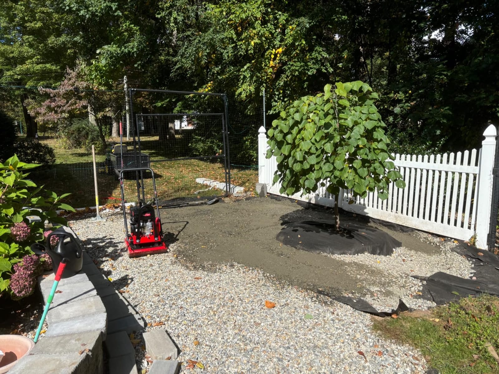 WEN Plate Compactor, 7HP, 212cc, with Wheel Kit and 4496-Pound Compaction Force (56012) customer photo 1