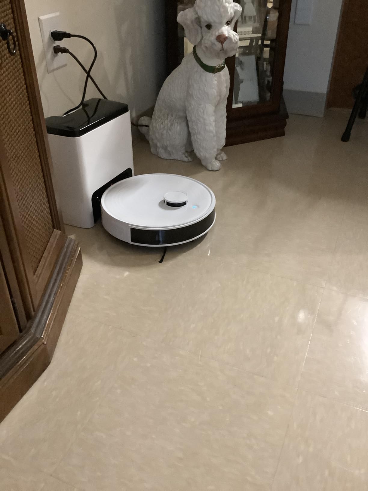 Lefant Robot Vacuum and Mop,75-Day Self-Emptying,6000Pa Powerful Suction,Customized Cleaning,Home Mapping, 140 Min Runtime, Roller Brush for Carpet,2.4G/5G WiFi/Alexa/APP/iWatch,M2 Plus customer photo 2