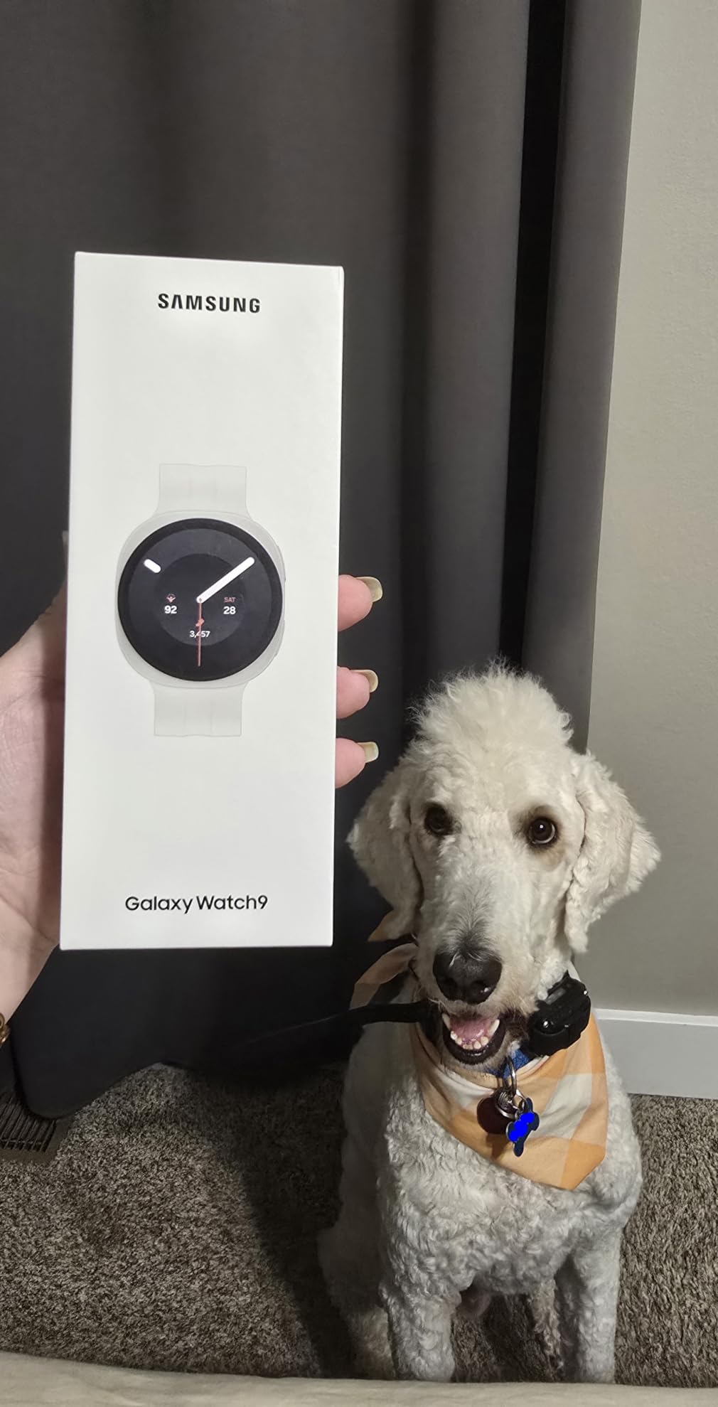 Samsung Galaxy Watch9, Silver, 44mm Bluetooth Smartwatch | AI Assistant, Fitness Tracker, Sleep Coaching and Running Coaching with Heart Rate Tracking [US Version, 2 Yr Warranty] customer photo 2