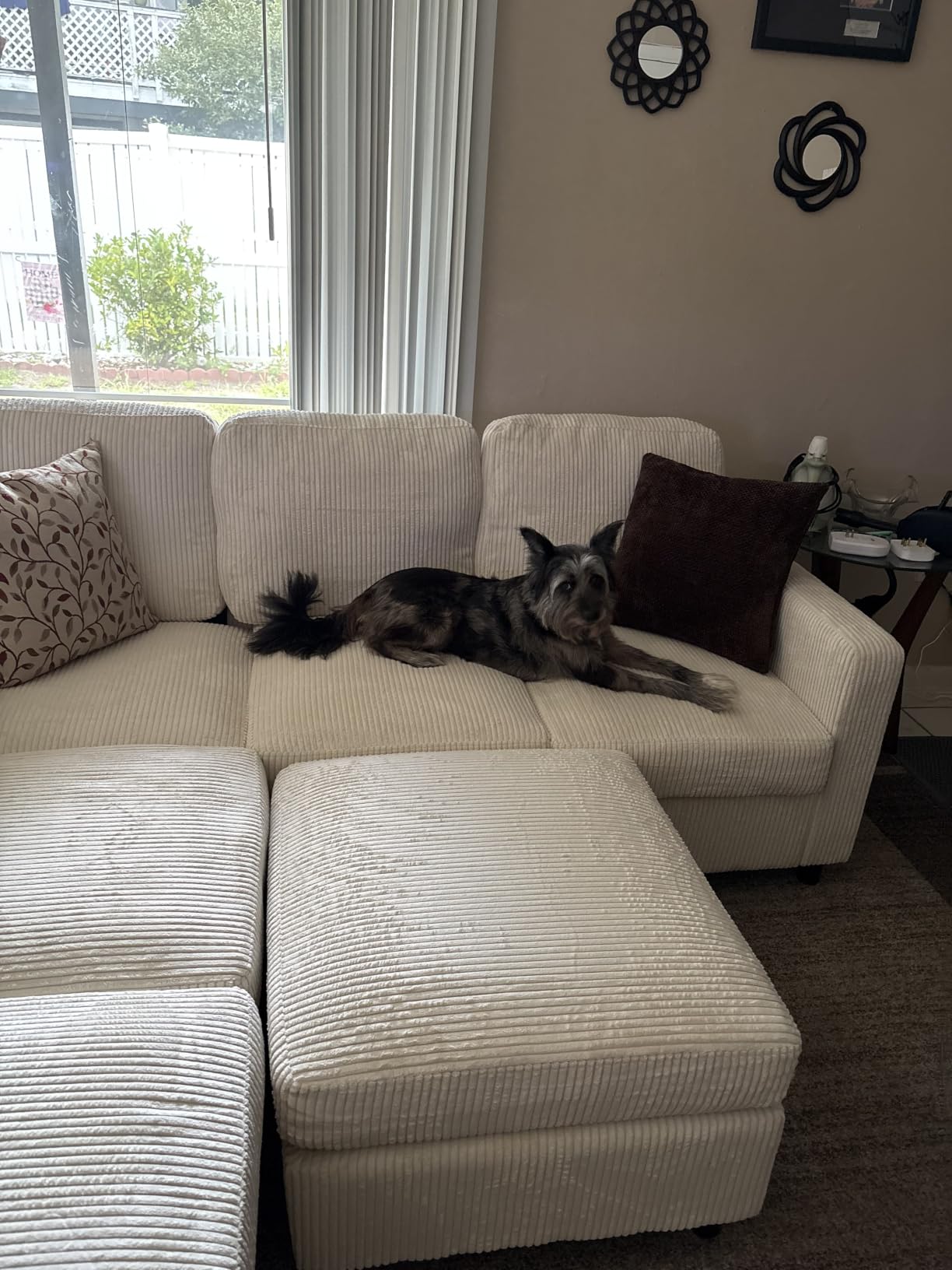 HONBAY Sectional Sofa, 6 Seater L-Shaped Sectional Couch with Storage Ottoman for Living Room, Dark Grey customer photo 1