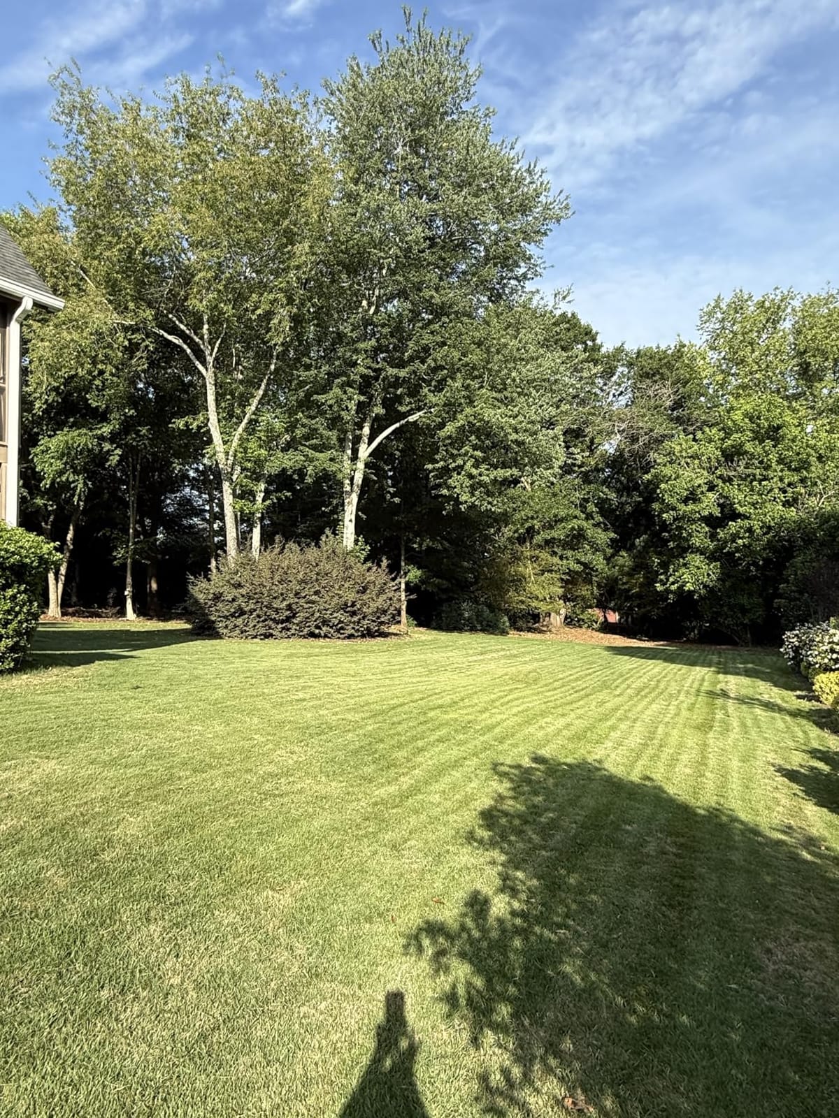 DREAME A3 AWD 1000 Robot Lawn Mower, All-Terrain Wire-Free, 360 Degree 3D LiDAR & AI Dual Vision Smart Robotic Mower for 0.25 Acre, 80% Slopes & 45min Fast Charge customer photo 1