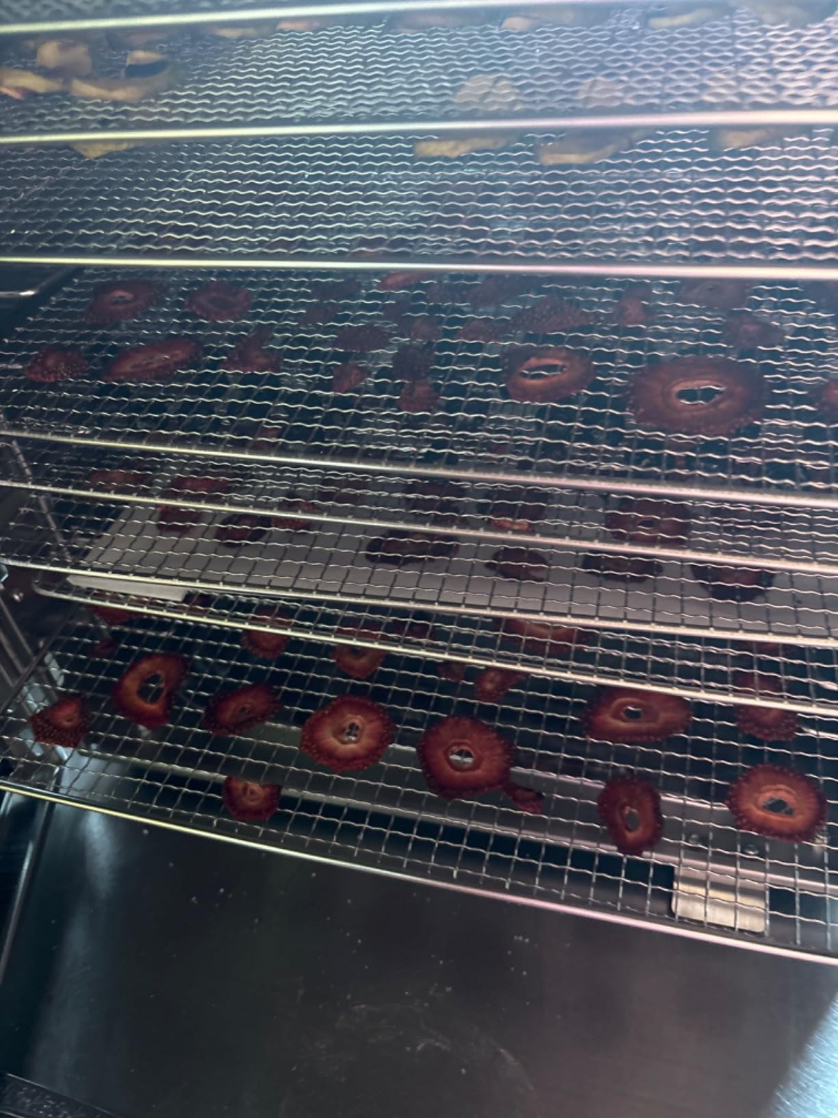 Commercial Food Dehydrator Machine 15 Trays, 1100W Fruit Dehydrator | 14.5ft² Meat Dryer for Jerky, 5 Presets, 86°F-194°F, 48H, 360° Airflow Large Food Dryer for Beef Herbs Treats & Veggies customer photo 2
