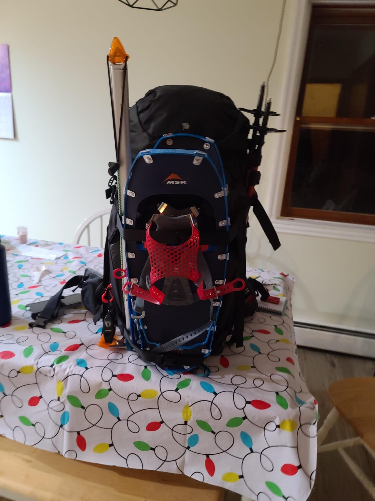 MSR Lightning Ascent Snowshoes customer photo 2