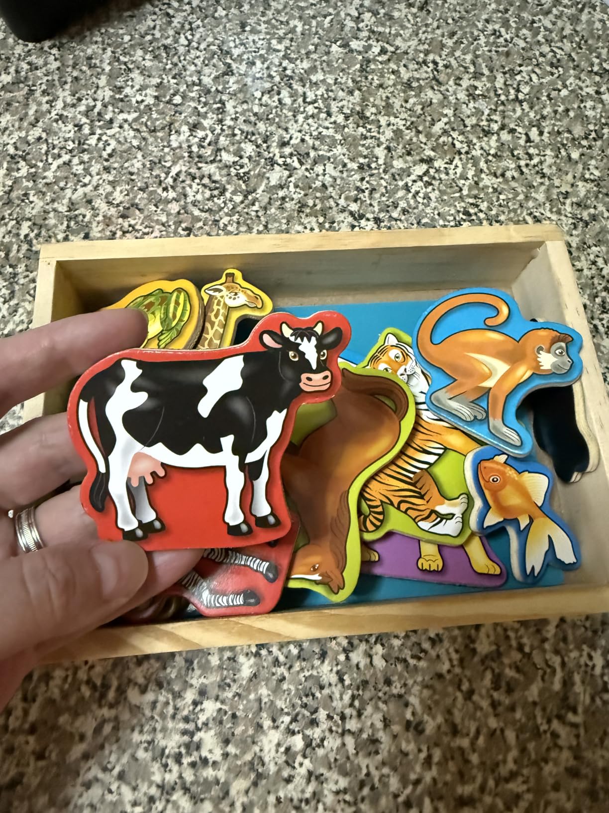 Melissa & Doug Wooden Animal Magnets Set (20 Pieces) – Farm, Zoo & Pet Fridge Magnets in Storage Box – Montessori Preschool Learning Toys for Toddlers & Kids Ages 2+ - FSC-Certified customer photo 2